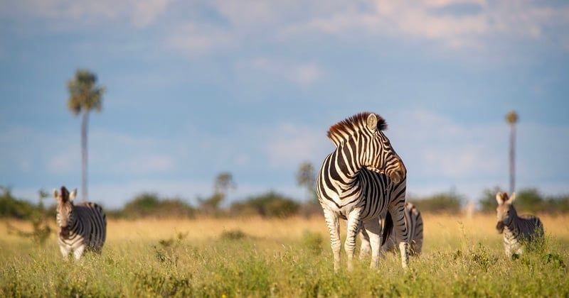 Vivre sans médecin : témoignages photographiques sur l'accès aux soins en Afrique rurale